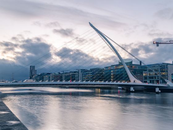 Samuel Beckett Bridge