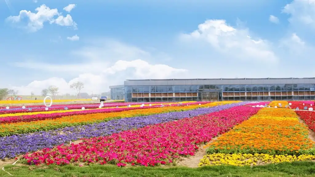 Hotels near Weishui Countryside