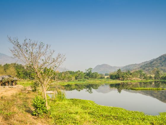 Tamsui River Mangrove Nature Reserve