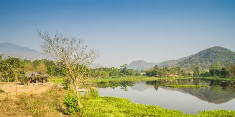 珠海淇澳紅樹林保護區