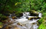 Gaoligongshan National Nature Reserve