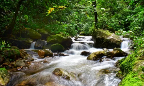 Gaoligongshan National Nature Reserve