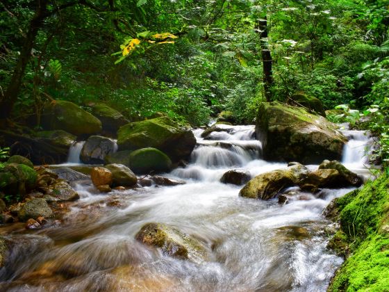 Gaoligongshan National Nature Reserve