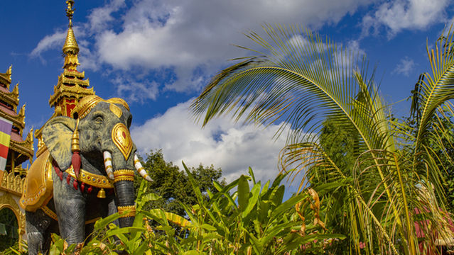 Golden Rooster Aluan