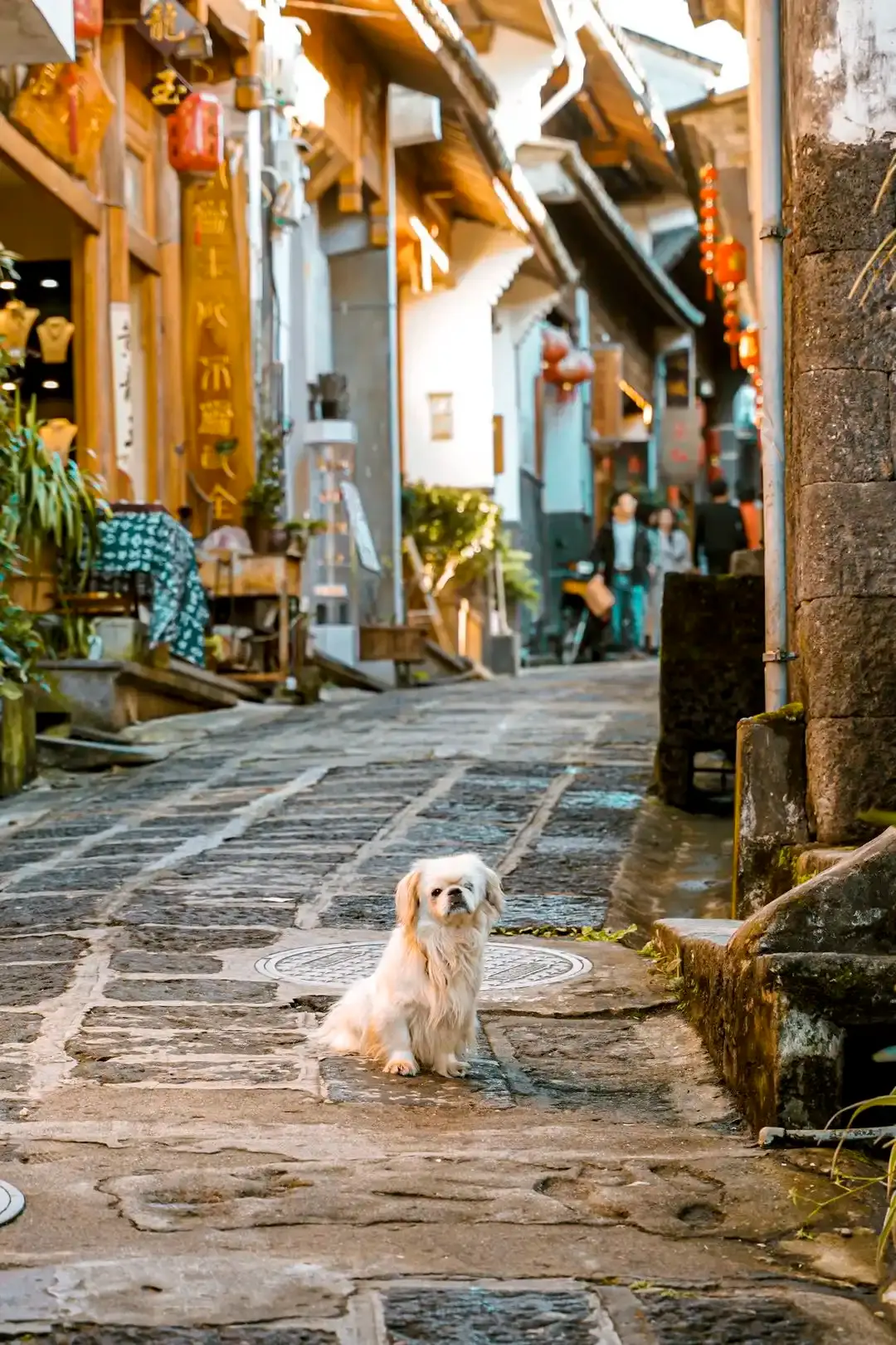 Hotels near Heshun Alley