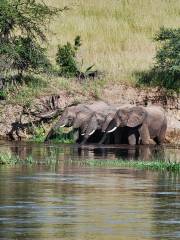 Parc national de Yala