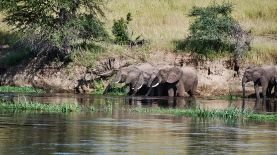 Yala National Park