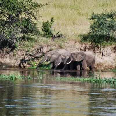 Hôtels à proximité de : Thaulle Safaris & Excursions