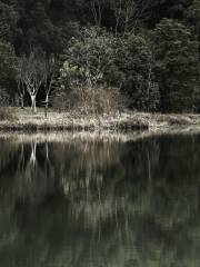 天福國家濕地公園