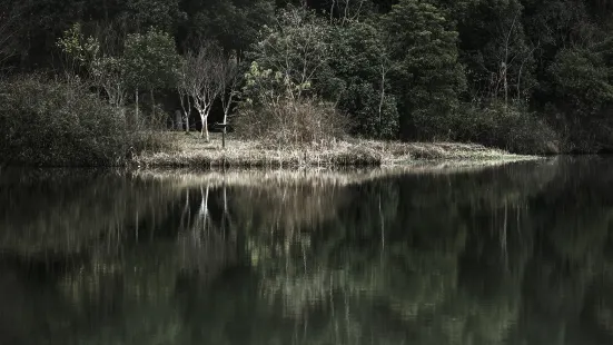 TIANFU WETLANDS