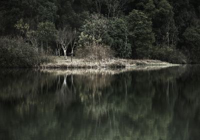 Национальный водно-болотный парк Тяньфу