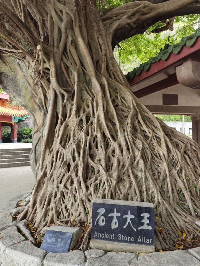 Guangdong Shenguangshan Forest Park