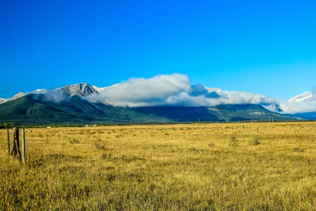 Shambhala Forest (Basha Scenic Area Branch)