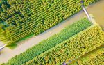 Qianduo (Raised Wetland Fields) Scenic Area