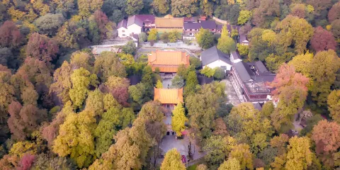 古麓山寺