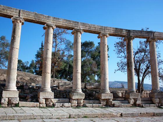 The Archaeological Site of Jerash