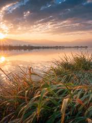 Menglishuixiang Wetland Park