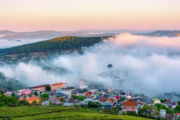 Flights from Okayama to Con Dao Island