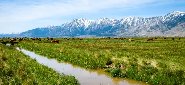 Hotels in Carson City