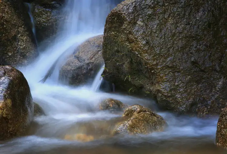 鄰近日新百貨(福泰廣場店)的酒店