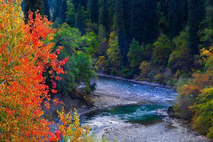 小妥餐饮醉美羊村饭庄(库尔德宁镇店)