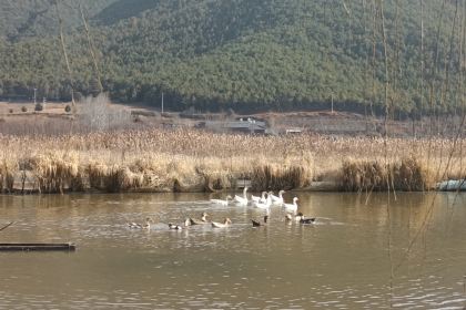 盐源县田园休闲农庄