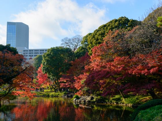 Koishikawa Korakuen Gardens