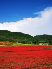 Wanwanchuan Tourist Area