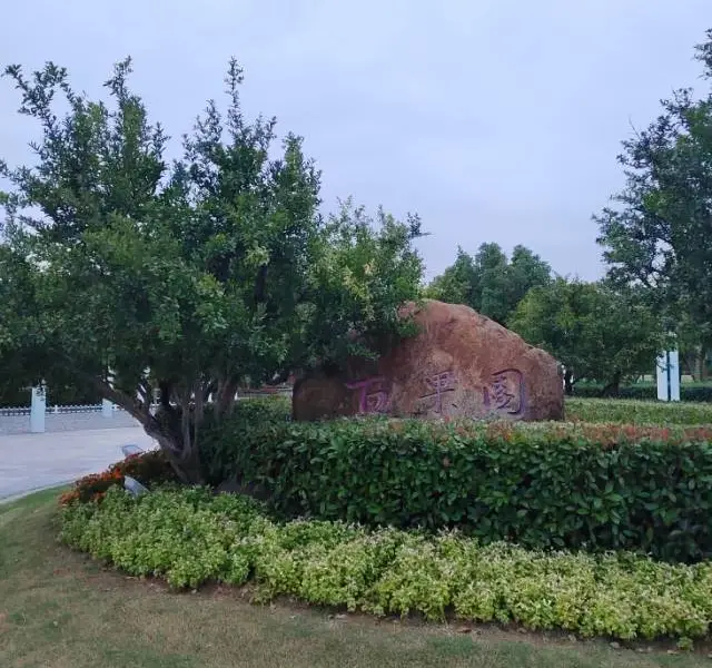 Xuzhou Baiguoyuan Landscape Green Space