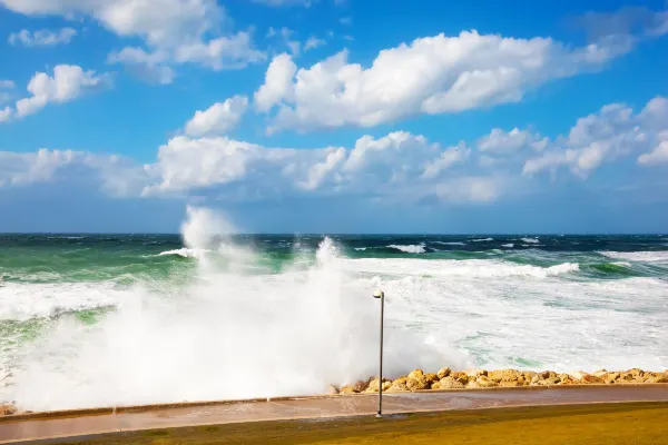 Vé máy bay giá rẻ của Silver Airways đi Tel Aviv