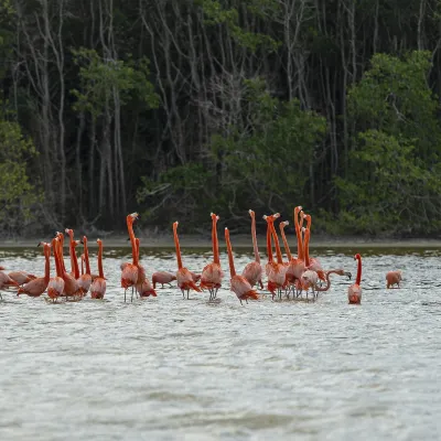 Разрешено размещения с домашними животными Отели в г. Агуаскальентес