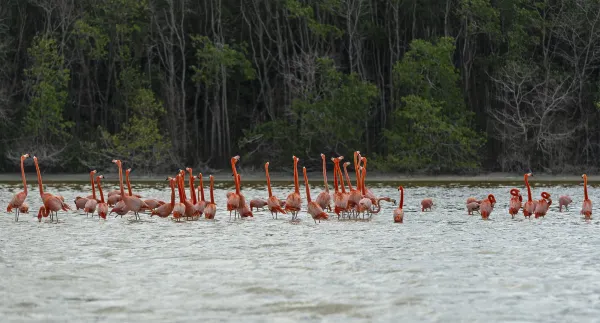 Vé máy bay Merida TP. Hồ Chí Minh