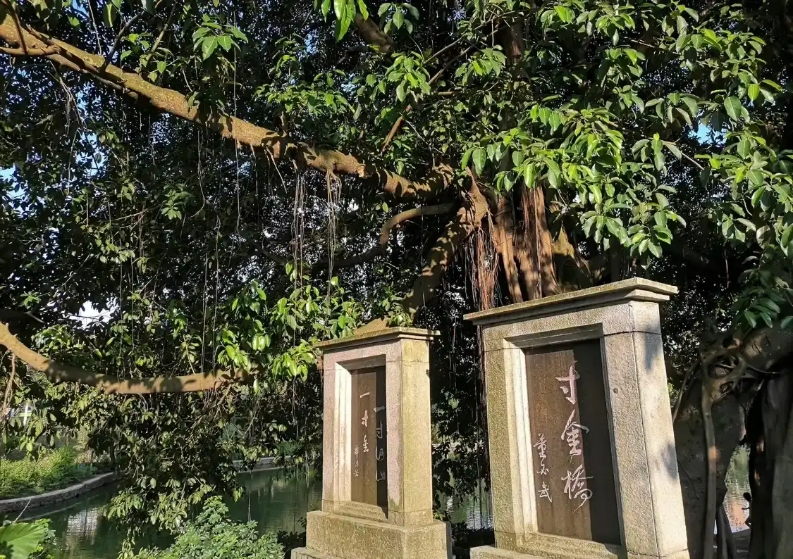 Hotels near Cunjin Bridge