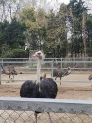 安順動物園