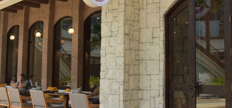 El Lugar de Max