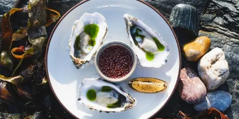 Port Gaverne Hotel Restaurant