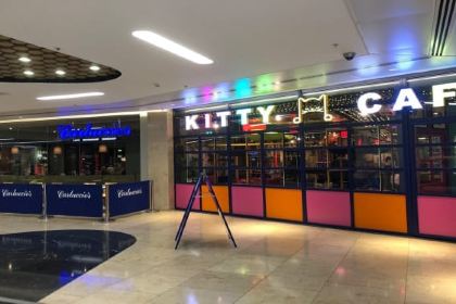 Kitty Café Birmingham