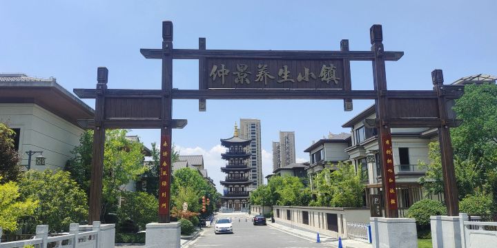 Zhongjing Health Preservation Town