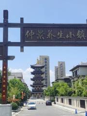Zhongjing Health Preservation Town