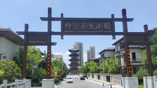 Zhongjing Health Preservation Town