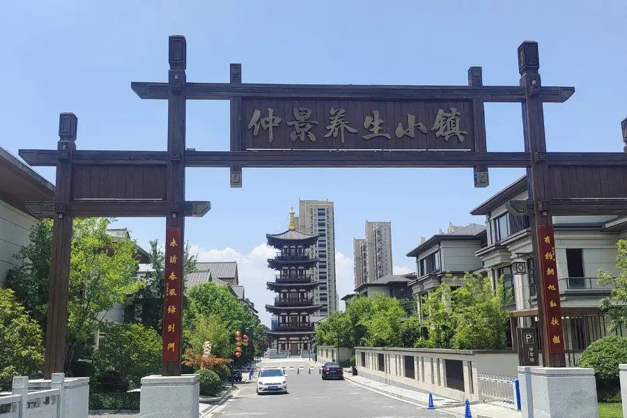 Zhongjing Health Preservation Town