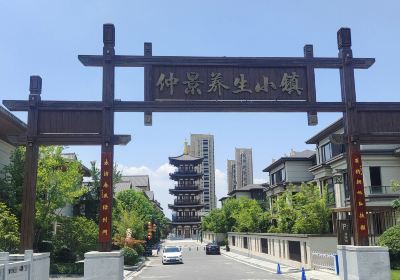 Zhongjing Health Preservation Town