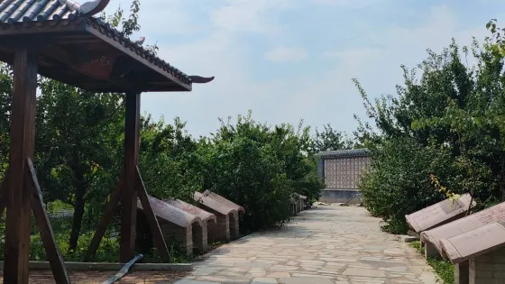 宏順梅園