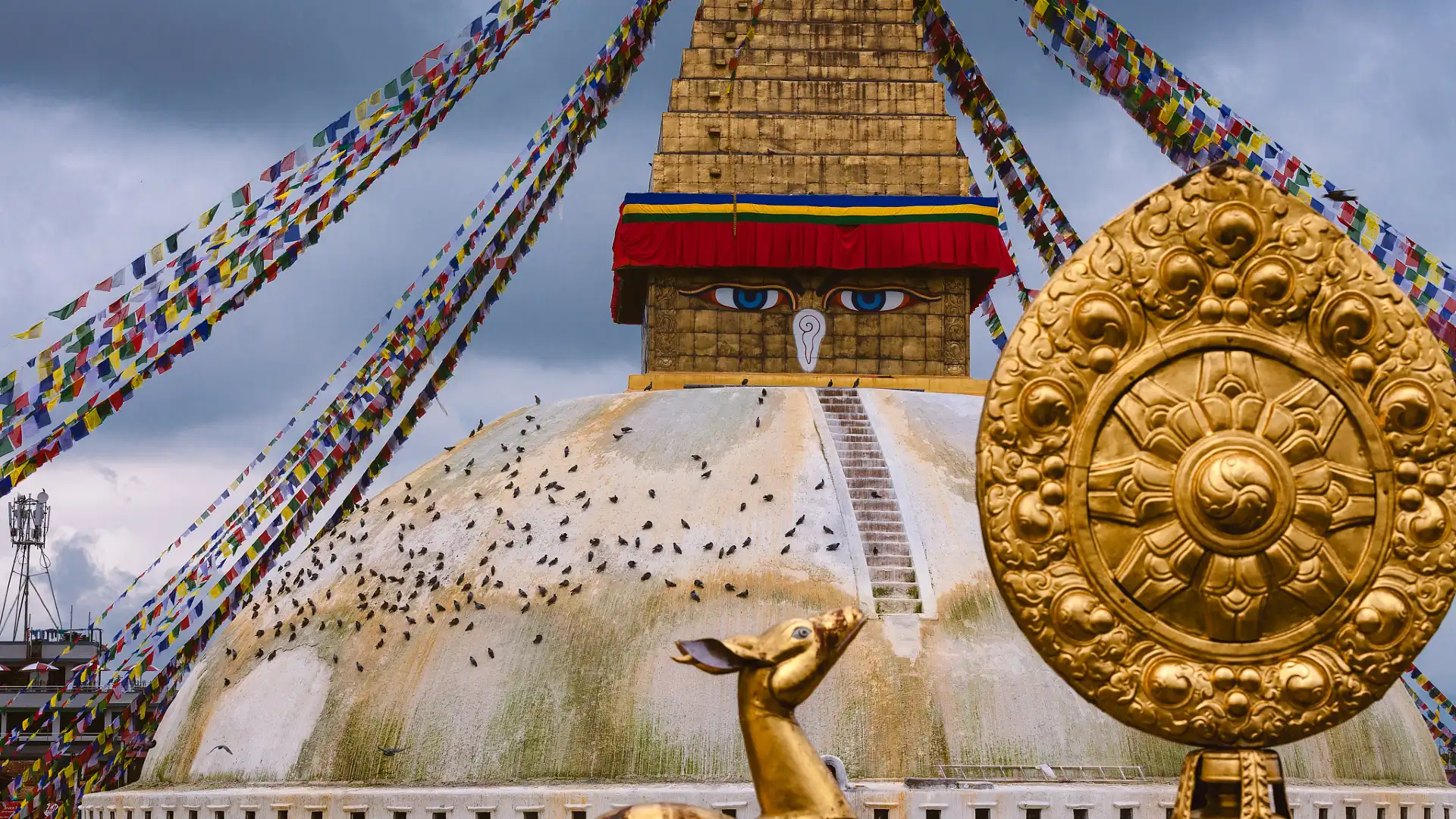 Hotels near Buddha Stupa