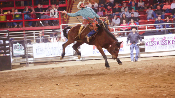 Lost Dutchman State Park