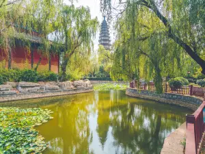 Buddhas Pagoda
