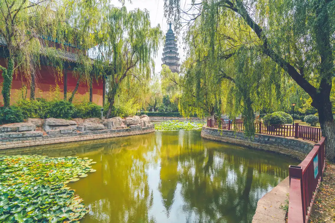 Hotels near Buddhas Pagoda