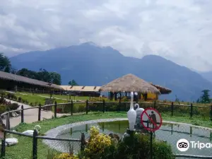 AnimalPark