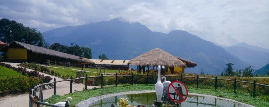 AnimalPark