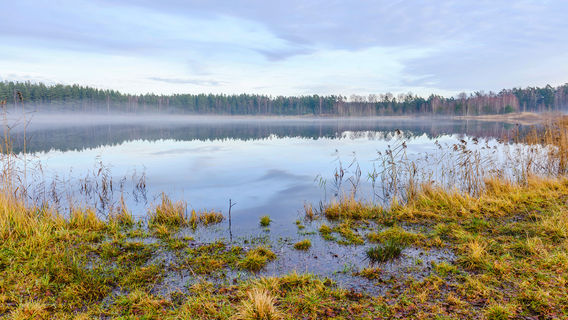Moyu Wetland Park